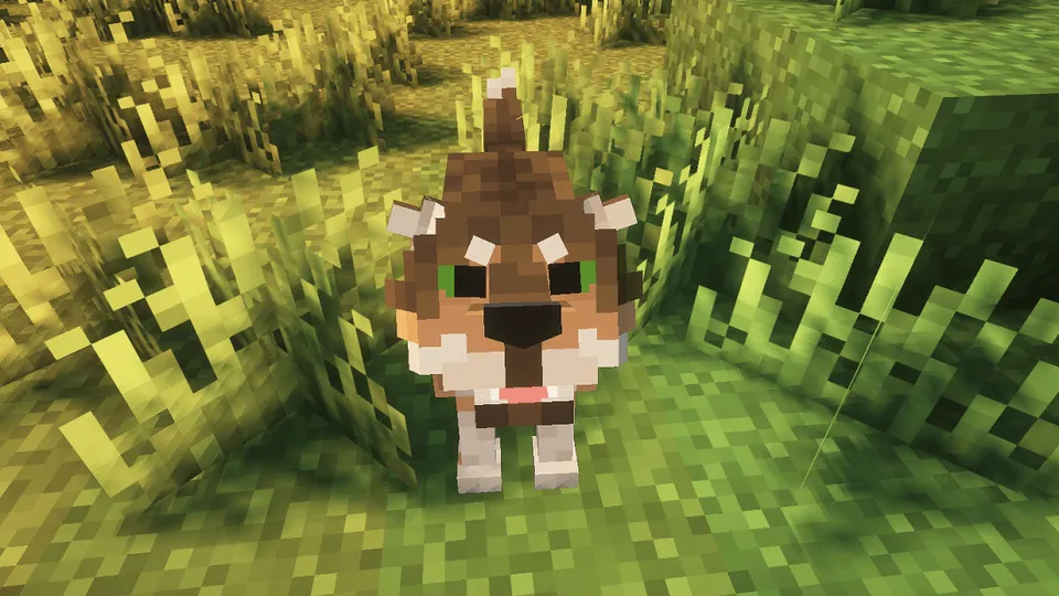 Wild Wolves — Minecraft resurs pak, rasm 5