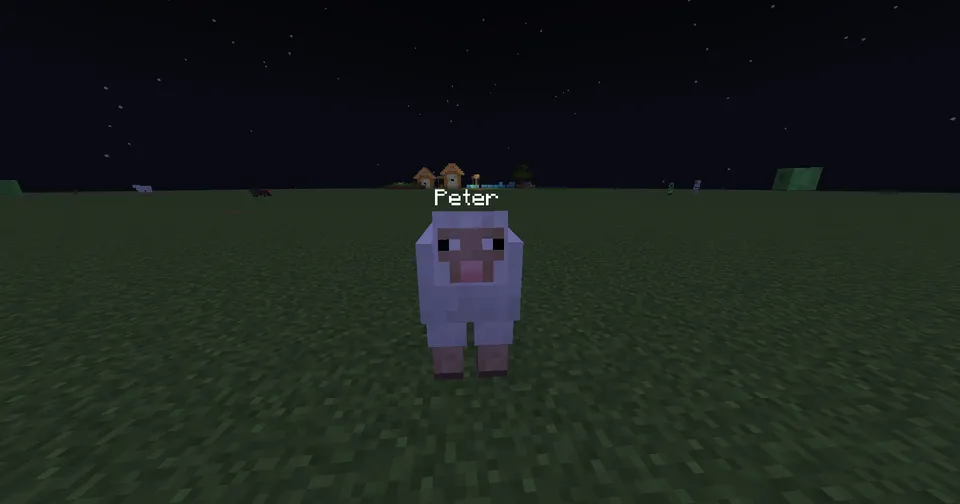 EntityNames — Minecraft mod, rasm 2