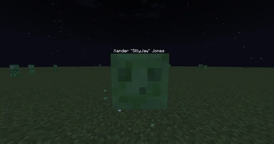 EntityNames — Minecraft mod, rasm 4