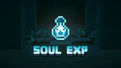 Soul EXP