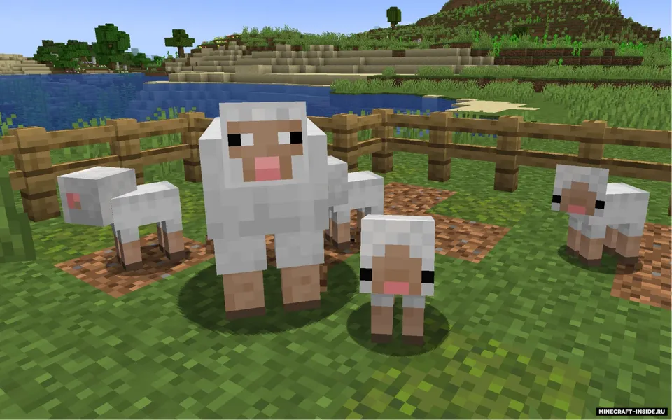 Baby Animals Remastered — Minecraft resurs pak, rasm 4