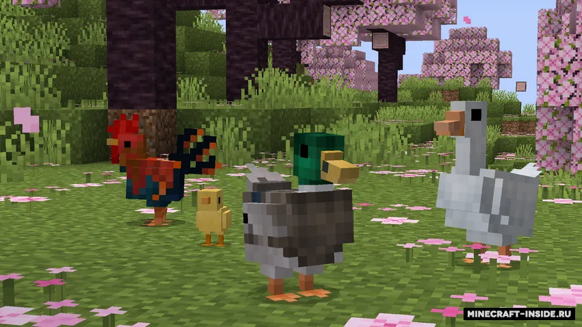 AllFowl — Minecraft resurs pak, rasm 2