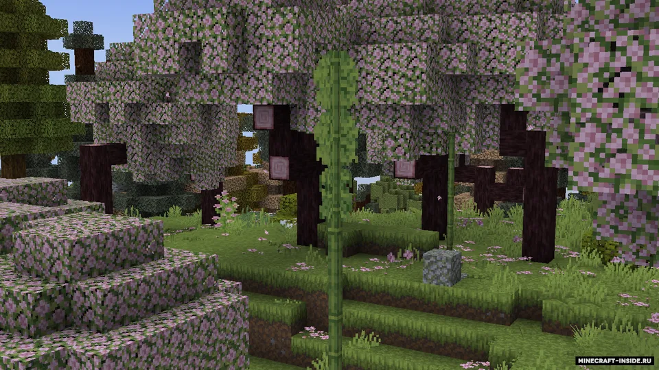 Coquet — Minecraft resurs pak, rasm 8