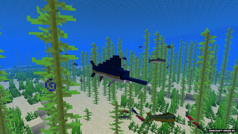some fish — Minecraft resurs pak, rasm 7
