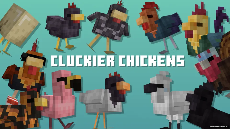 Cluckier Chickens — Minecraft resurs pak, rasm 2