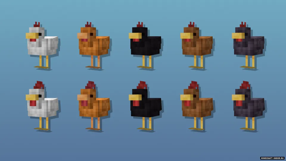 Cluckier Chickens — Minecraft resurs pak, rasm 3