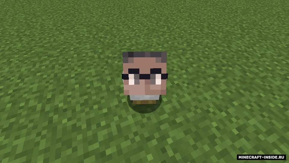 Personajlar boshli tovuqlar — Minecraft resurs pak, rasm 2