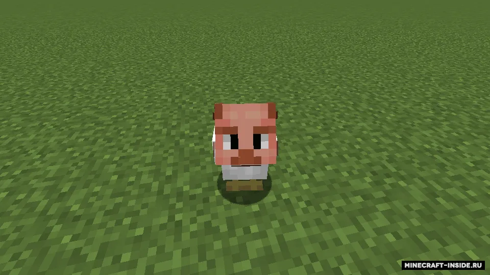 Personajlar boshli tovuqlar — Minecraft resurs pak, rasm 4