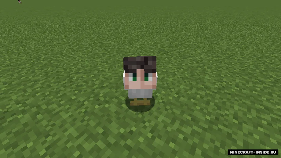 Personajlar boshli tovuqlar — Minecraft resurs pak, rasm 5