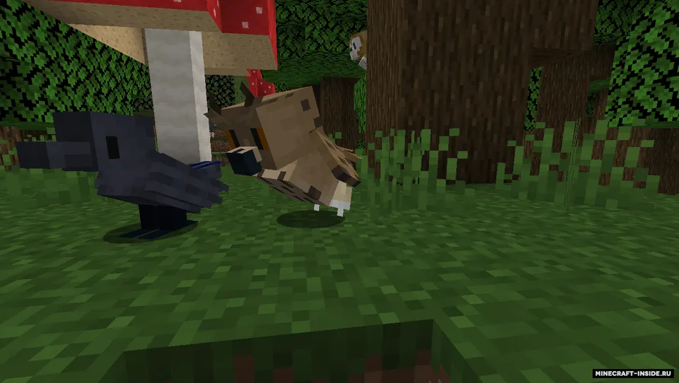 Some parrots and birds — Minecraft resurs pak, rasm 5