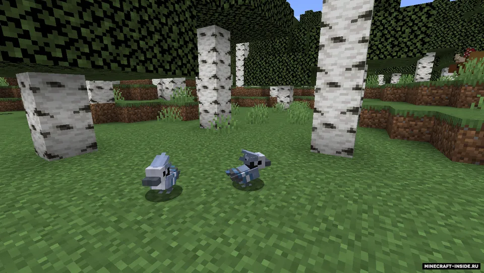 Some parrots and birds — Minecraft resurs pak, rasm 6