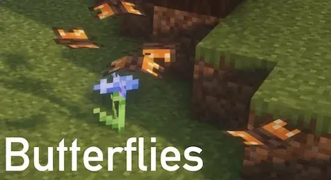 Butterflies