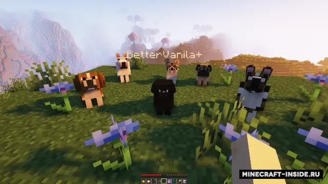 BetterVanila+ — Minecraft resurs pak, rasm 2
