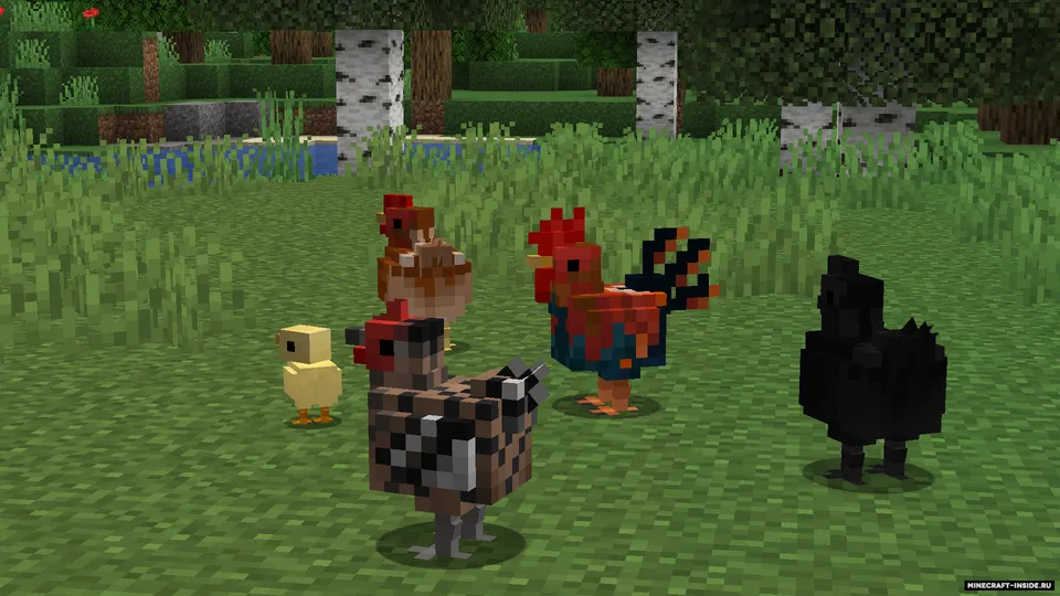Better Farm Animals — Minecraft resurs pak, rasm 2