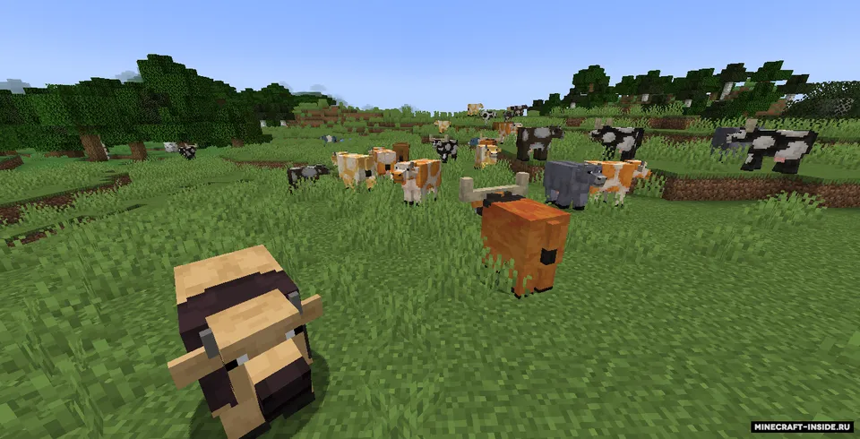 World Of Color — Minecraft resurs pak, rasm 2