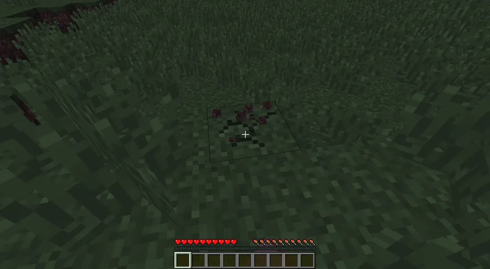 Avoid the dark — Minecraft mod, rasm 3