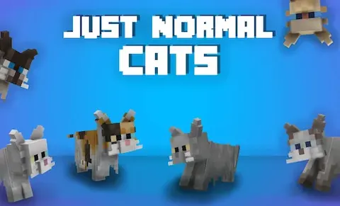 Just Normal Cats