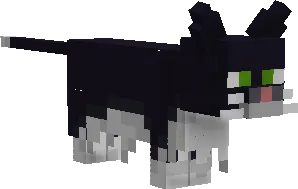 Just Normal Cats — Minecraft resurs pak, rasm 4