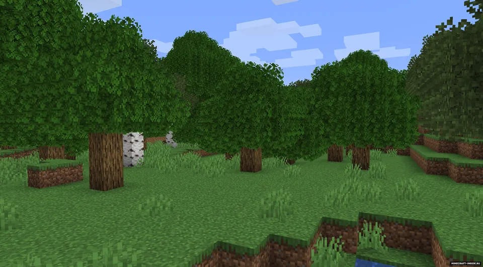 Jerm's Better Leaves — Minecraft resurs pak, rasm 7
