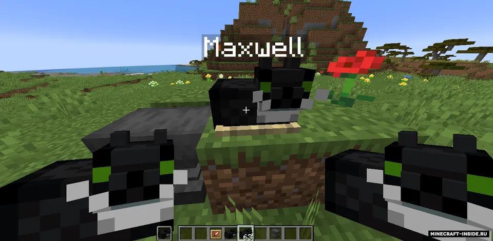 Maxwell - The Carryable Cat — Minecraft resurs pak, rasm 3