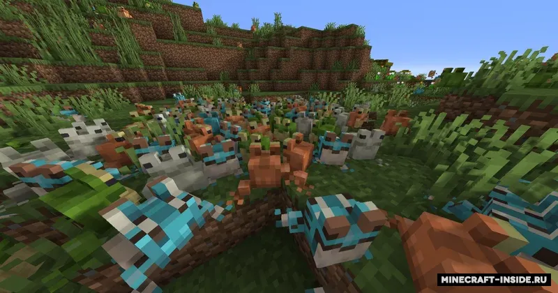 Shiny's Concept Frogs — Minecraft resurs pak, rasm 4