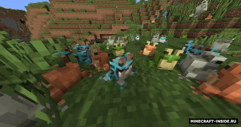 Shiny's Concept Frogs — Minecraft resurs pak, rasm 5