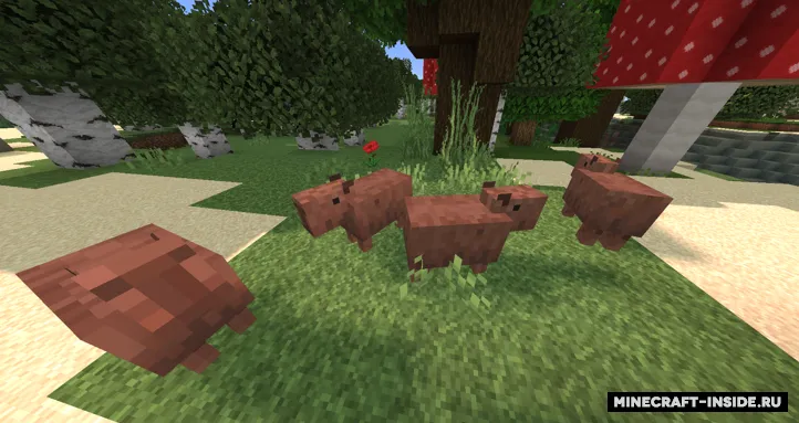 Kapibaralar — Minecraft resurs pak, rasm 2