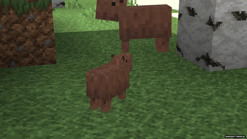 Kapibaralar — Minecraft resurs pak, rasm 3