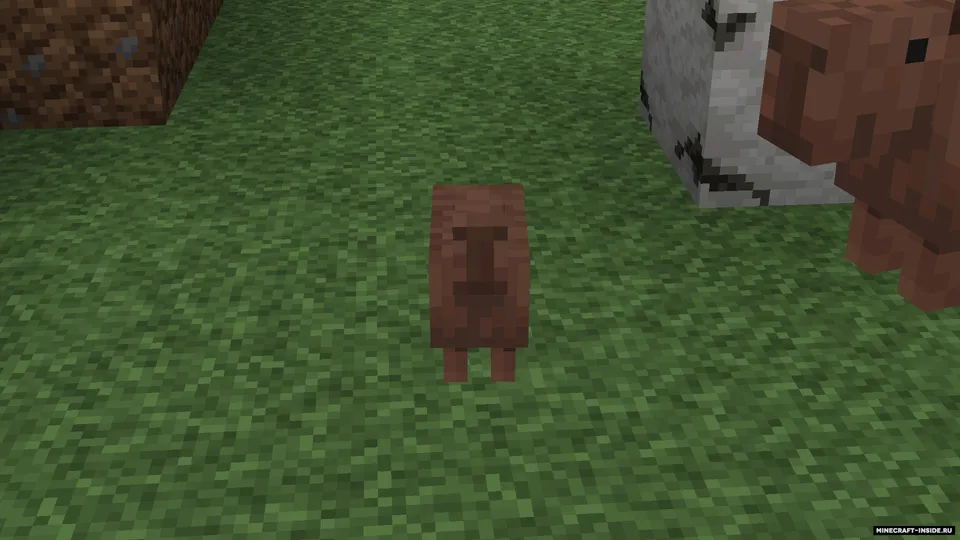 Kapibaralar — Minecraft resurs pak, rasm 4
