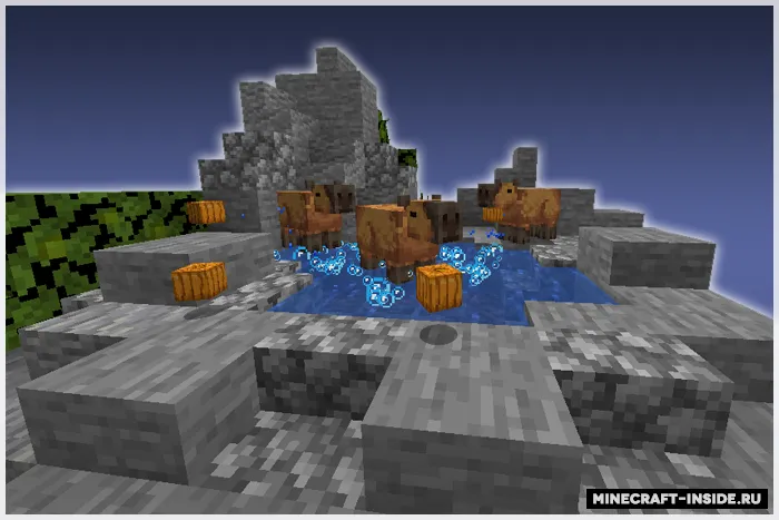 ok i pull up capybara — Minecraft resurs pak, rasm 2