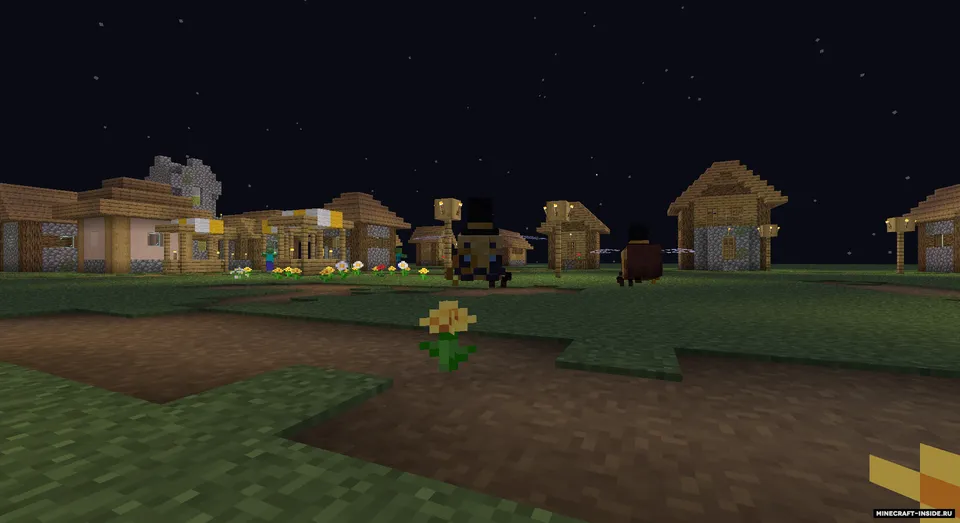 Jentlmen ari — Minecraft resurs pak, rasm 2