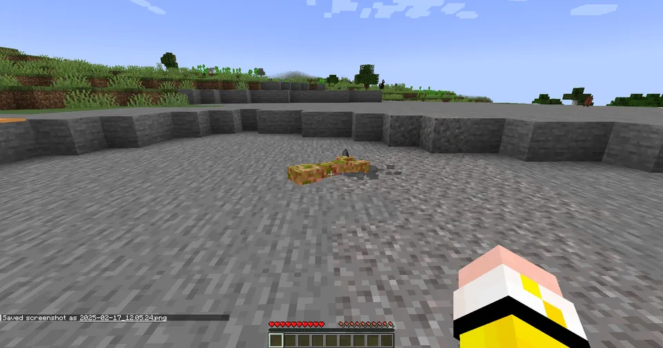 SecurityOverkill — Minecraft mod, rasm 4