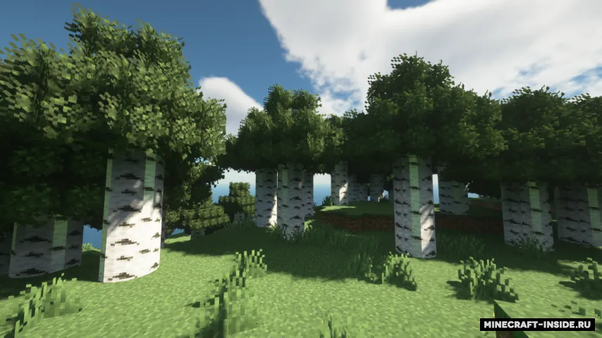 Sohel's Round Trees — Minecraft resurs pak, rasm 4