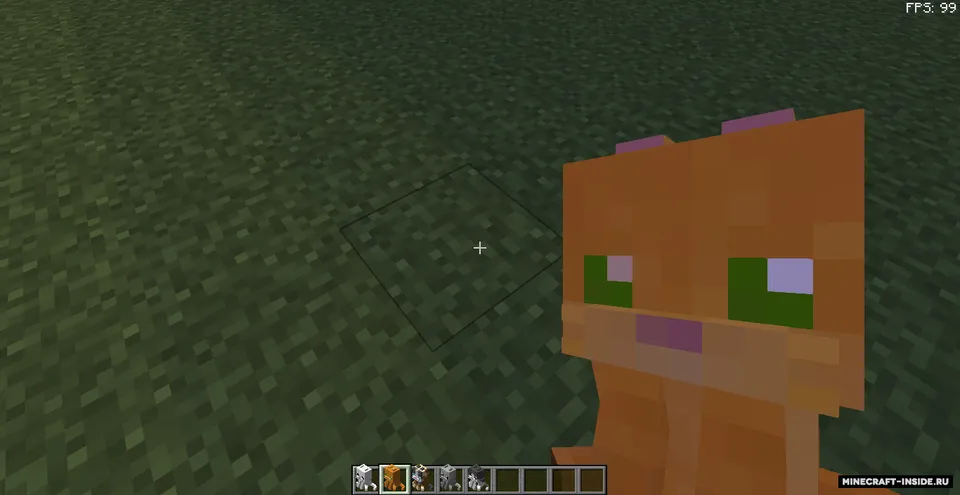 FunnyCat — Minecraft resurs pak, rasm 3