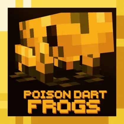 Poison Dart Frogs
