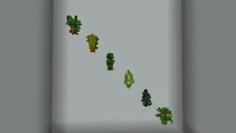 Saplings in 3d