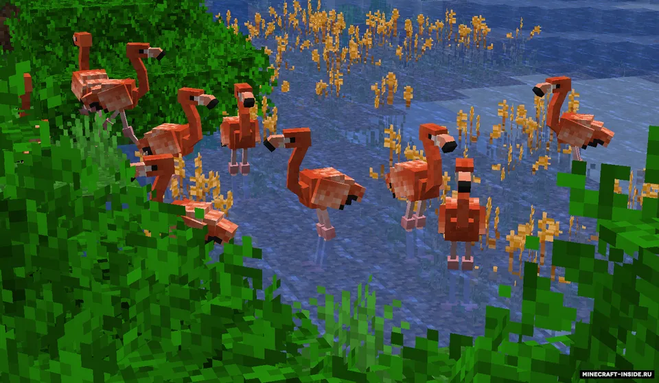 Arzher's Exotic Birds — Minecraft resurs pak, rasm 3