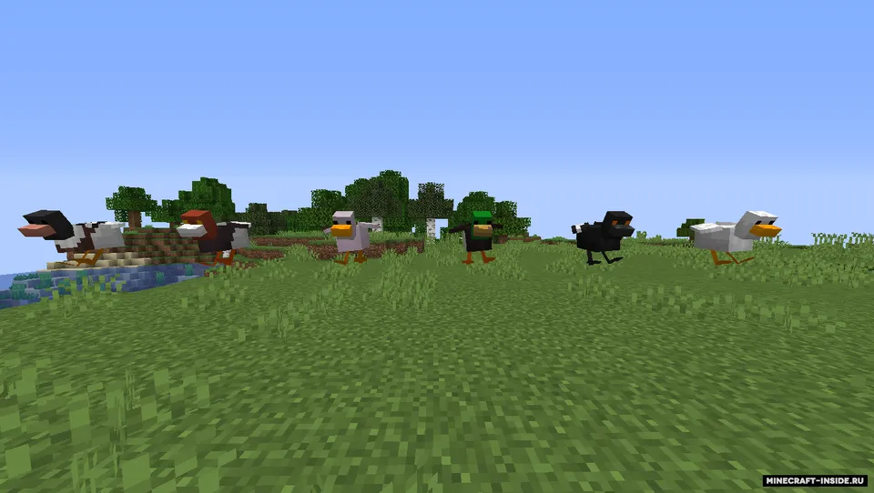Ducks by noobof — Minecraft resurs pak, rasm 2