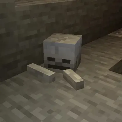 Skeletons on Stones