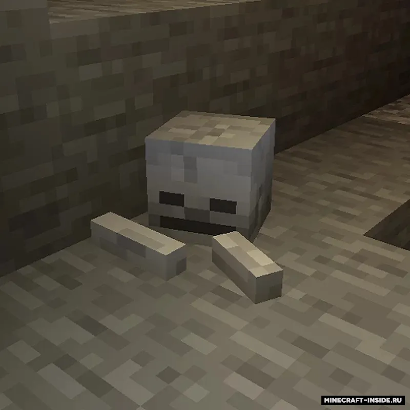 Skeletons on Stones — Minecraft resurs pak, rasm 3