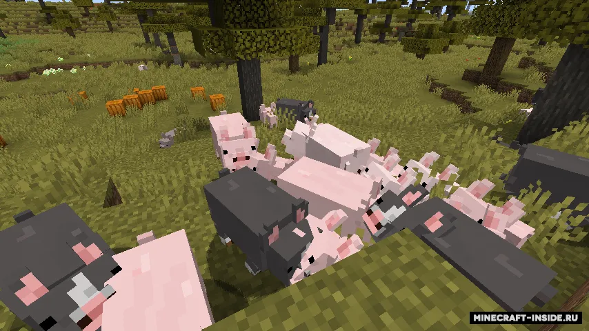 Renewed Animal — Minecraft resurs pak, rasm 7