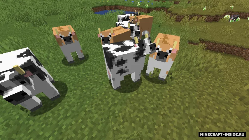 Renewed Animal — Minecraft resurs pak, rasm 8