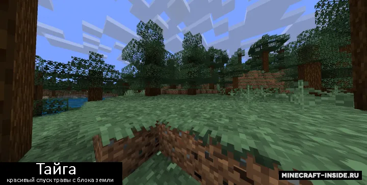 Bushier Grass — Minecraft resurs pak, rasm 2