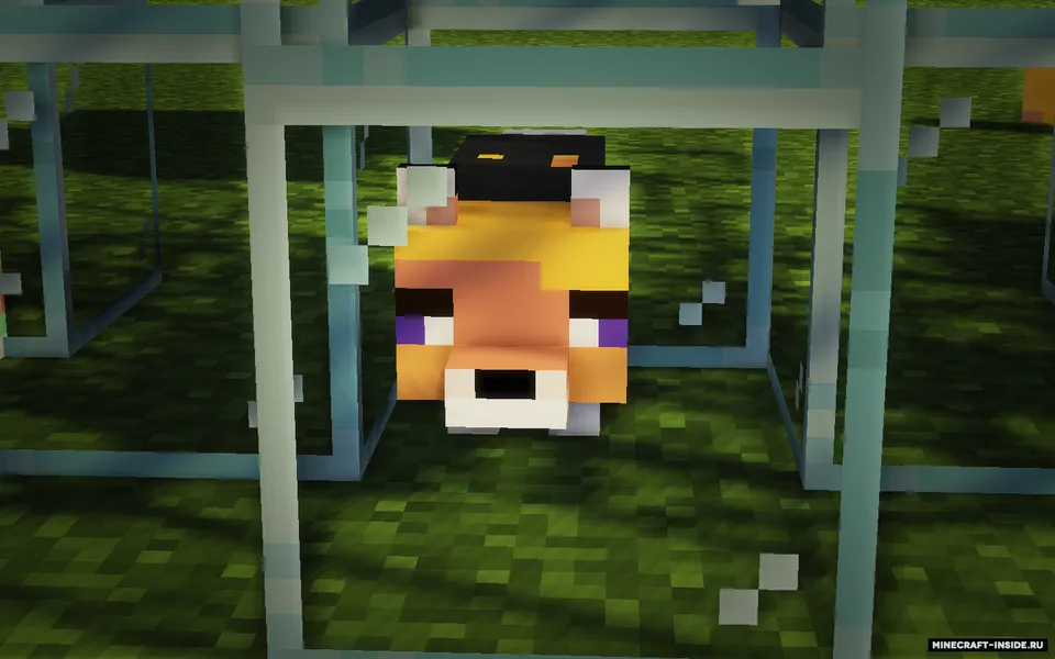 5opka kringe — Minecraft resurs pak, rasm 4