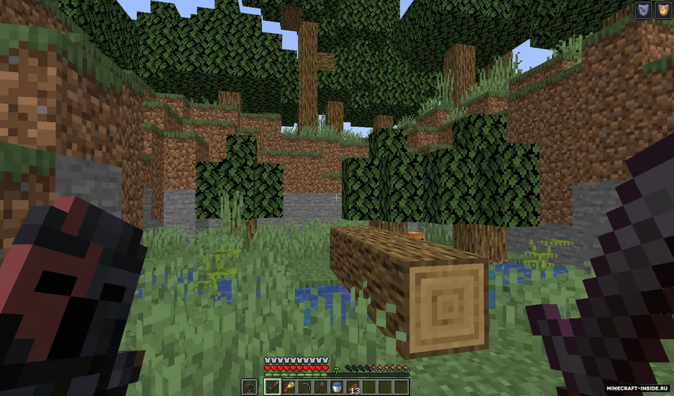 WC's Totems (Pop edition) — Minecraft resurs pak, rasm 5