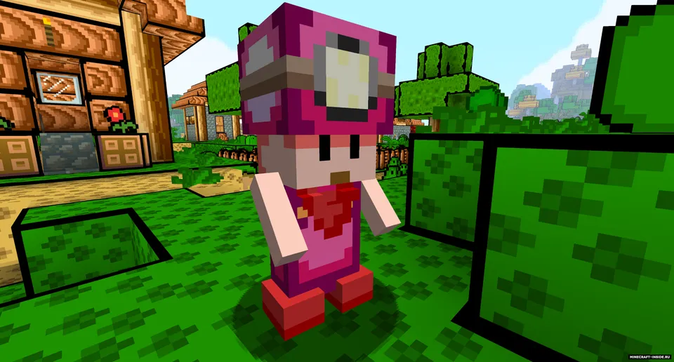 Super Mario Craft — Minecraft resurs pak, rasm 2