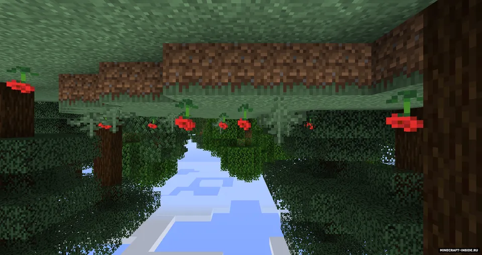 Minecraft, but it's Australia — Minecraft resurs pak, rasm 2