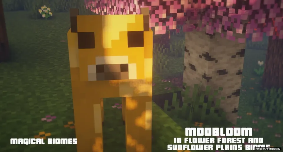 Magical Biomes: Forests — Minecraft resurs pak, rasm 8