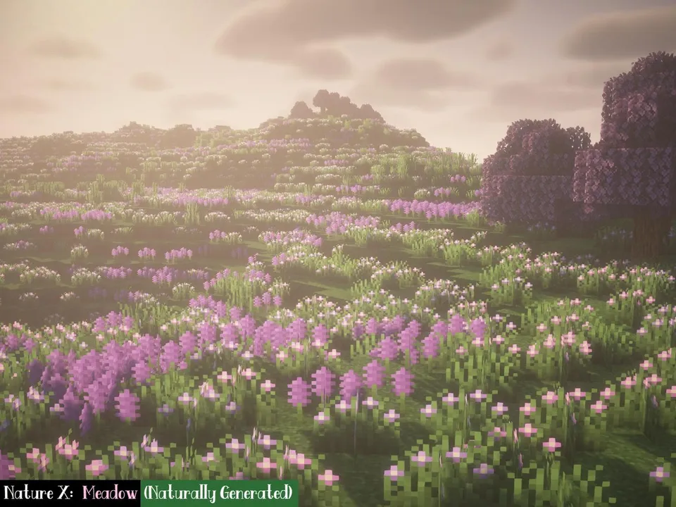Nature X — Minecraft resurs pak, rasm 3