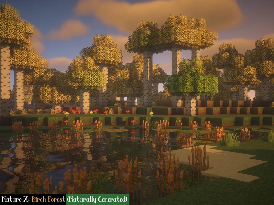 Nature X — Minecraft resurs pak, rasm 4